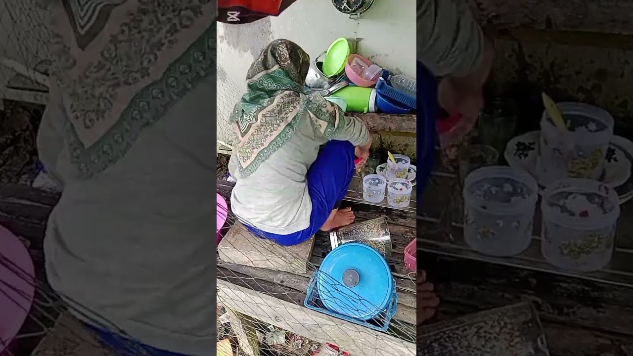 nyuci piring rumah kayu #dailyvlog #vlogiburumahtangga #nyucipiring #tipsrumahtangga #tipsandtricks