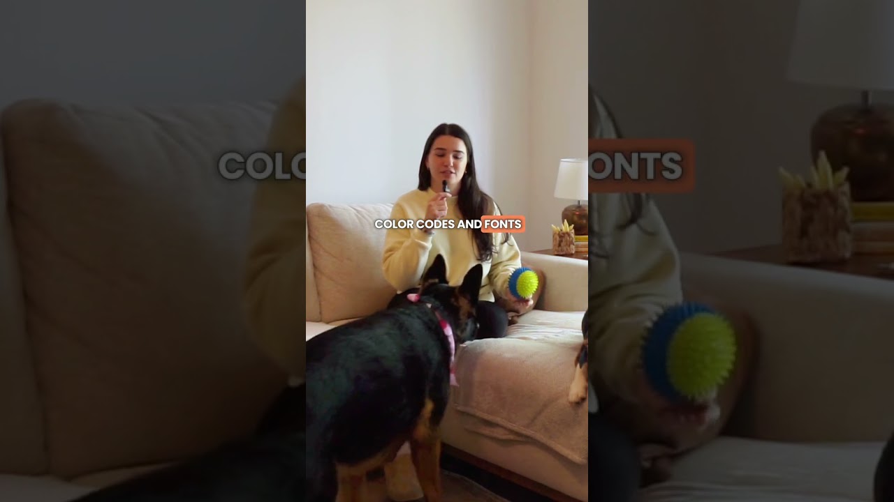 Dogs & Design: Doable Design Tips | EP 5