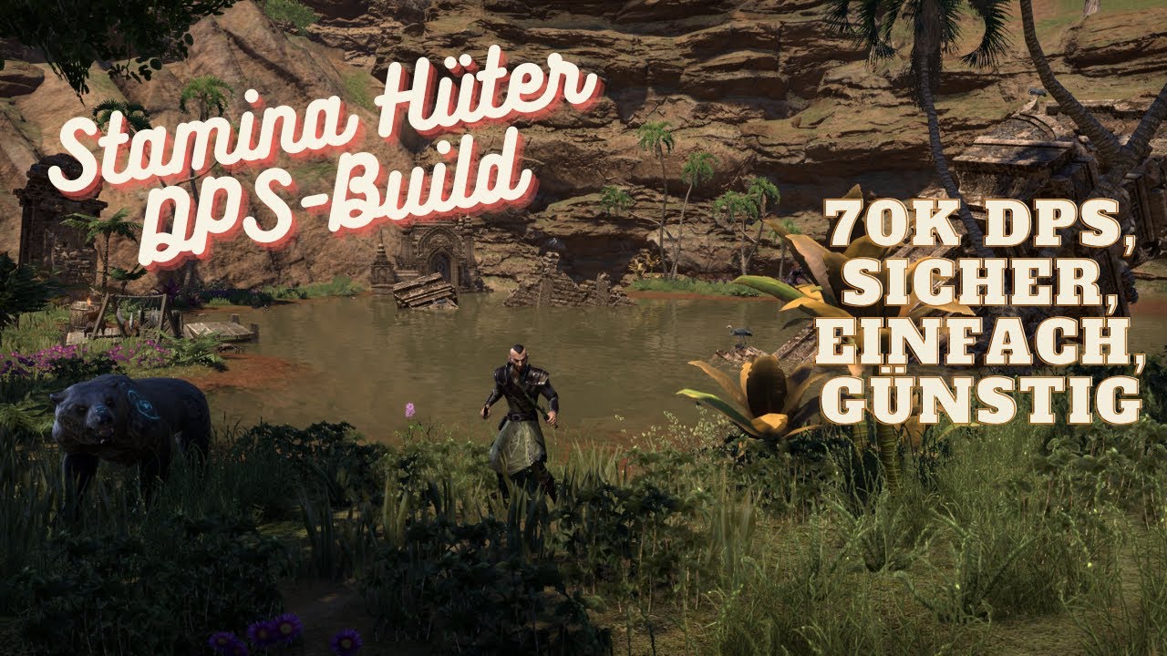 Stamina Hüter DPS-Build für Vet-Einsteiger
