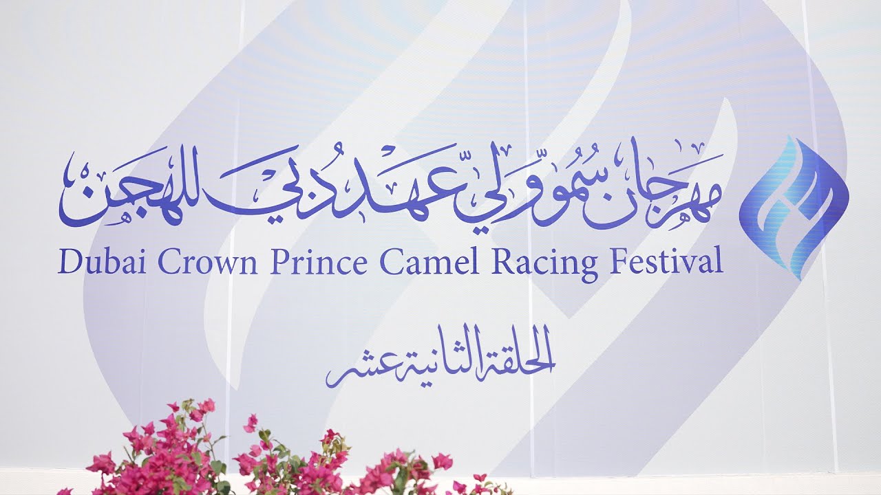 اهل الهجن - مهرجان سمو ولي عهد دبي للهجن/ هيثم الحمادي / الحلقة الثانية عشر  / ٢٢-١-٢٠٢٦