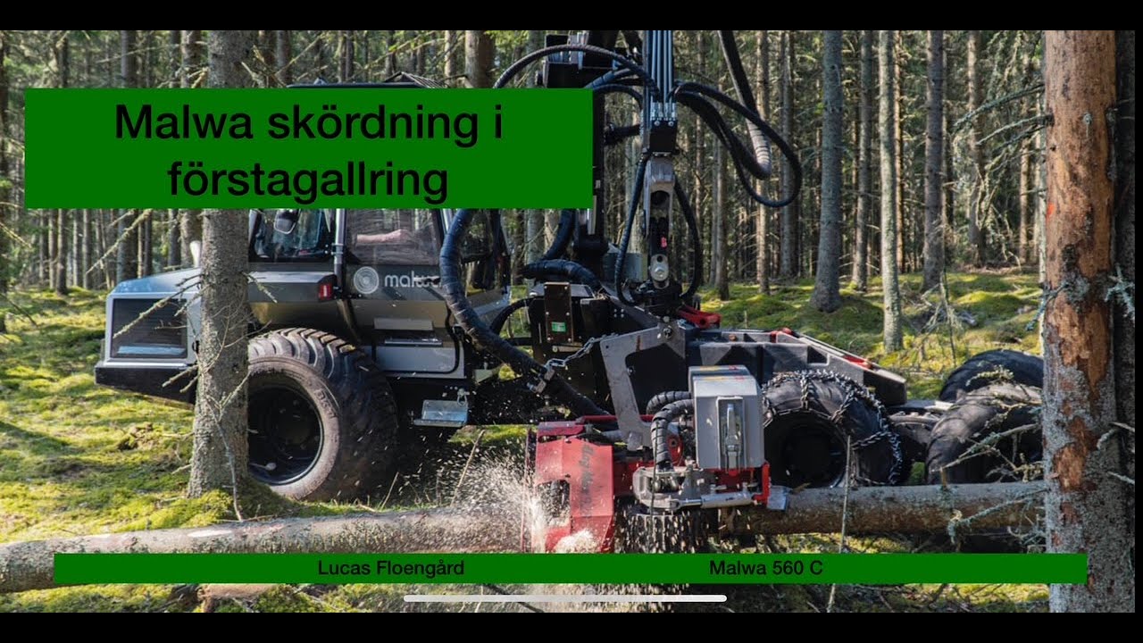 Malwa 560C Kombiskördaren i förstagallring