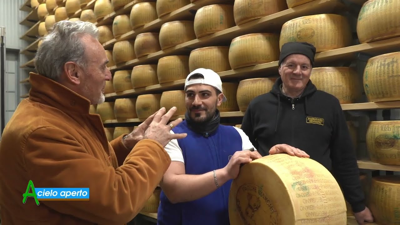 Puntata del 21-12-2025 - 2° parte LA BIANCA MODENESE, RAZZA STORICA RESISTENTE E FRUGALE