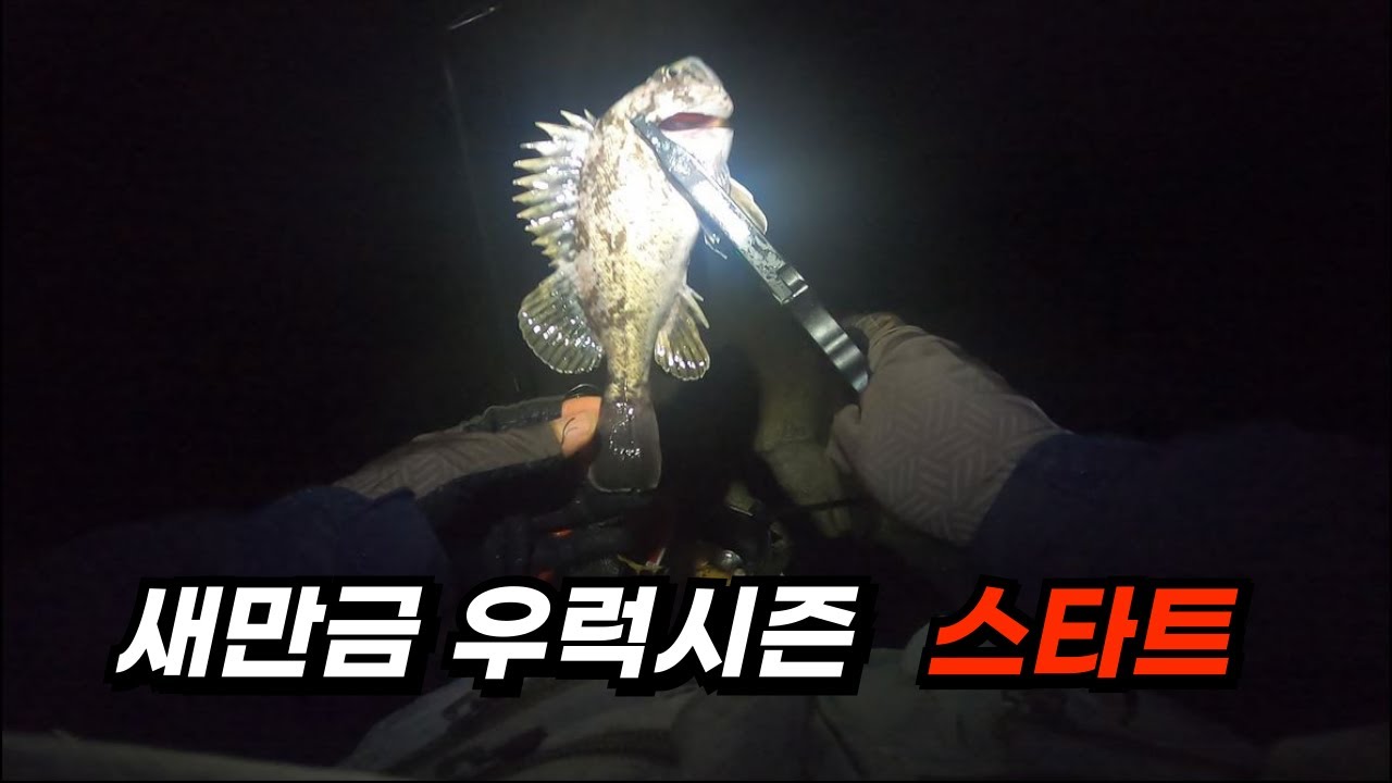 새만금 우럭낚시 비응항~해넘이쉼터 해넘이쉼터~돌고래쉼터 포인터 및 조황정보 보시고  출조하세요