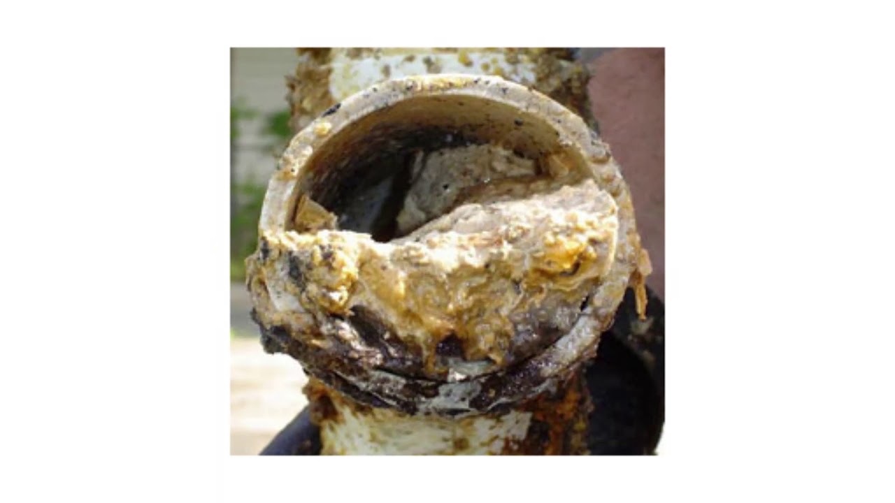 Keep Fats, Oils, and Grease Out of Your Pipes