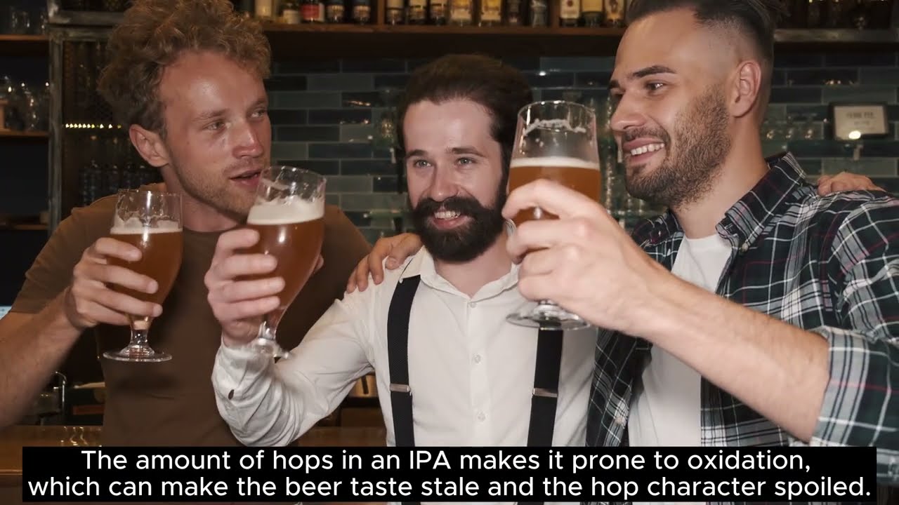 The Best IPA Beers of 2023: A Deep Dive into Hoppy Goodness