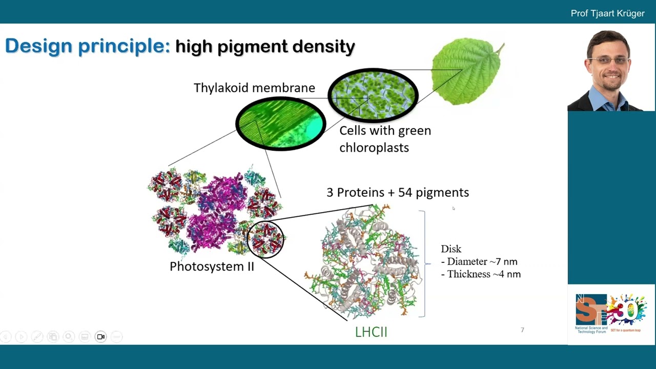 Prof Tjaart Krüger, Unlocking the quantum design of photosynthesis 4 bioinspired solar technologies