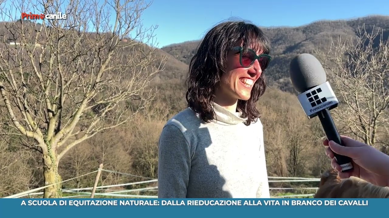 PRIMOCANILE - A scuola di equitazione naturale: dalla rieducazione alla vita in branco dei cavalli