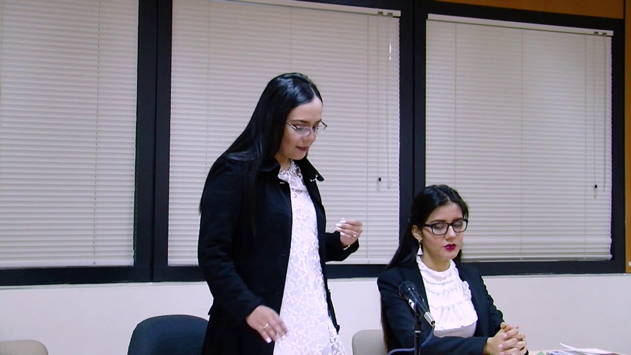 Protección de Derechos Humanos en Entornos Nacionales