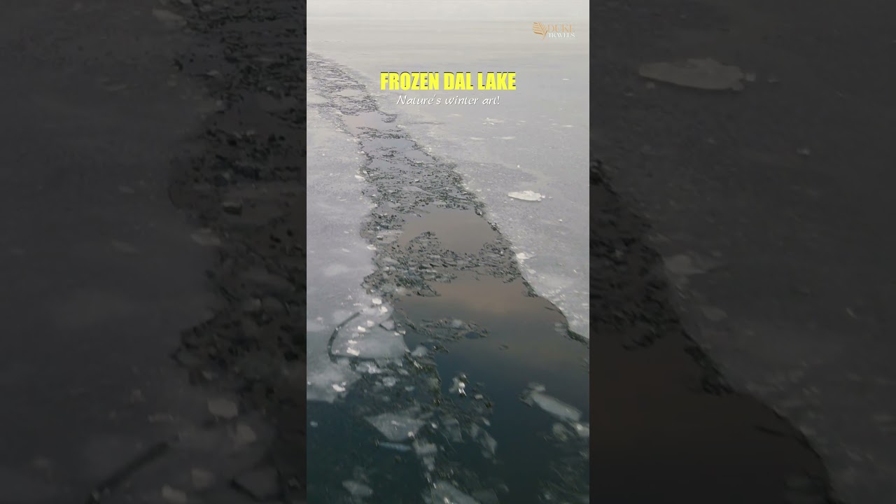 Experience the magic of a frozen Dal Lake this winter with Duke Travels ❄️✨. #travel #snow #mountain