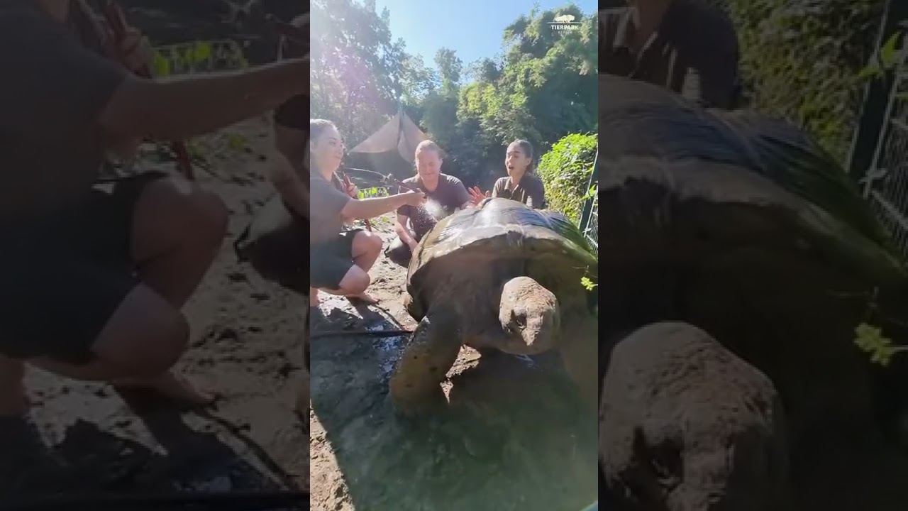 #teichchallenge vom Zoo Berlin - #pondchallenge at Zoo Berlin