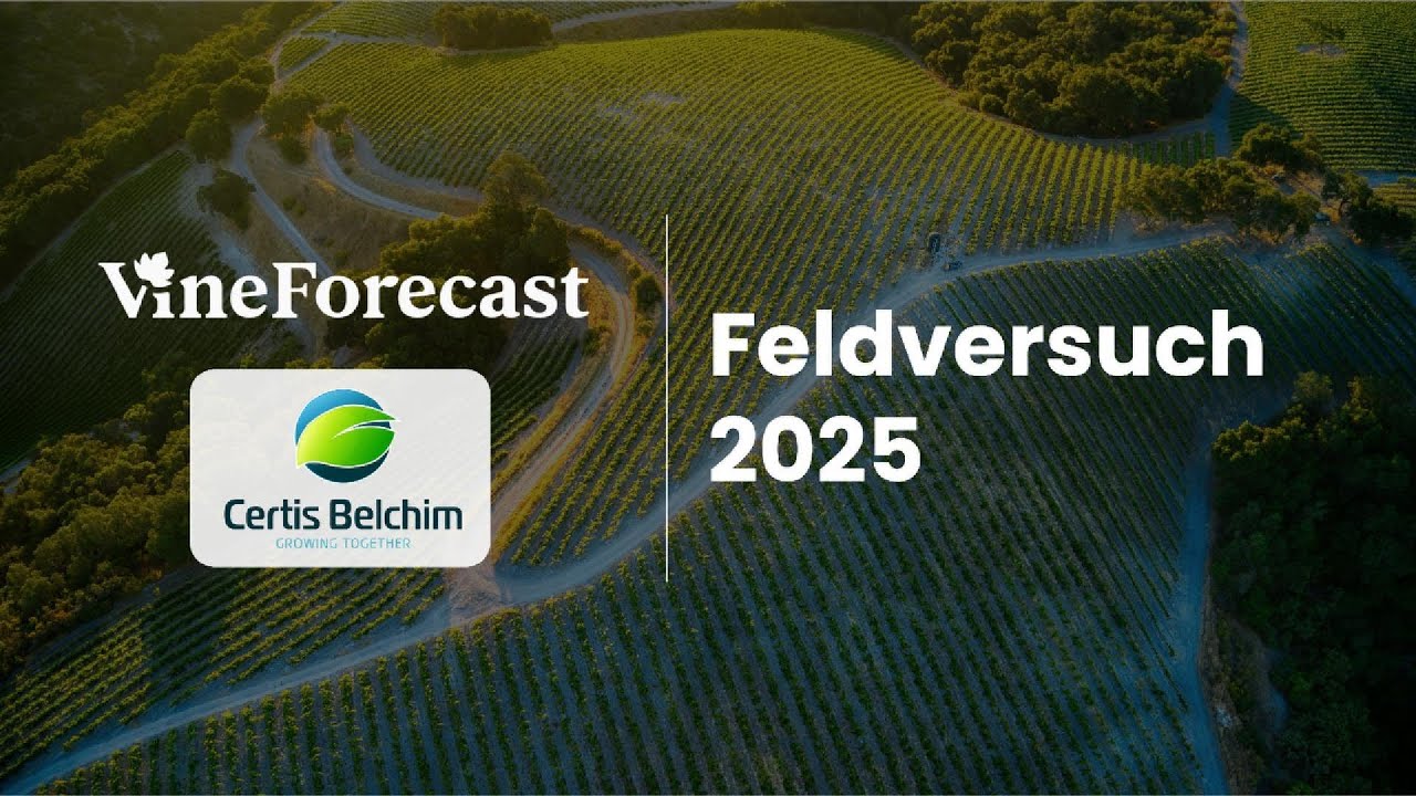 Feldversuch in Zotzenheim (2025)