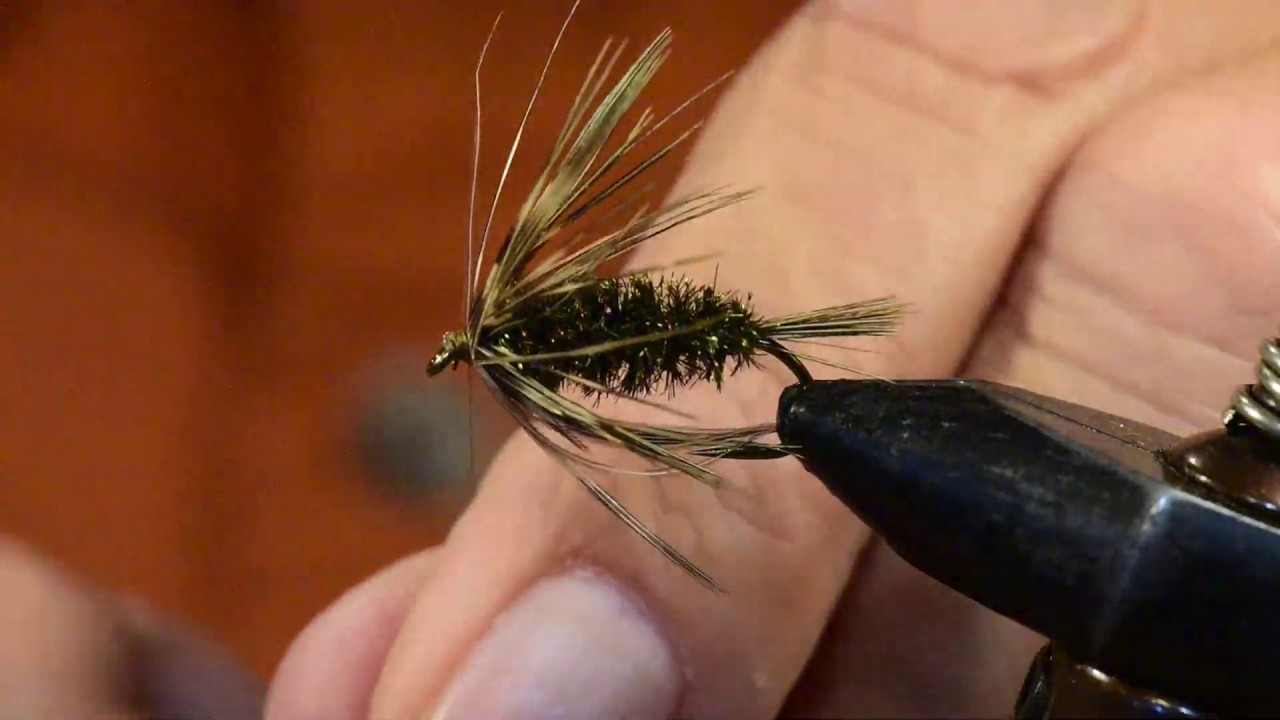 Carey Special