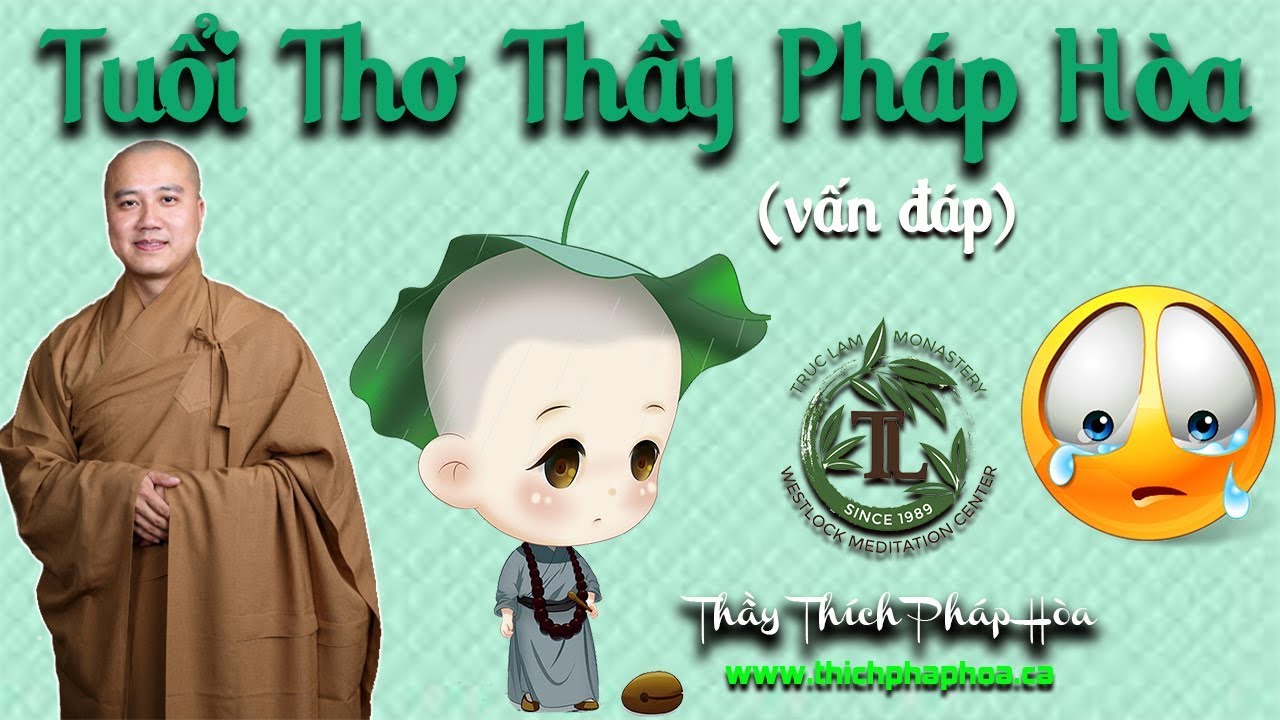 Tuổi Thơ Thầy Pháp Hòa (vấn đáp - nghe rơi nước mắt) - Thầy Thích Pháp Hòa