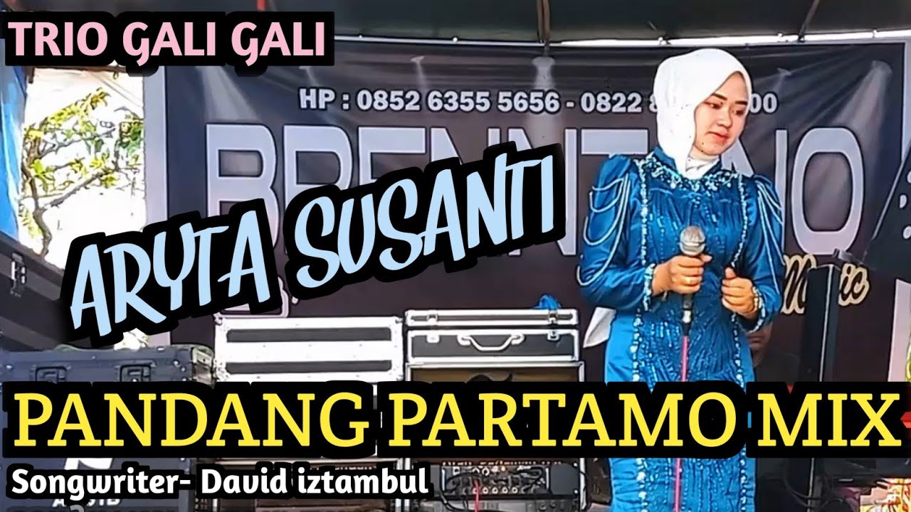 Wita Sofi - Pandang Partamo (( Cover )) Aryta Susanti (Trio Gali Gali) Minang Song Remix