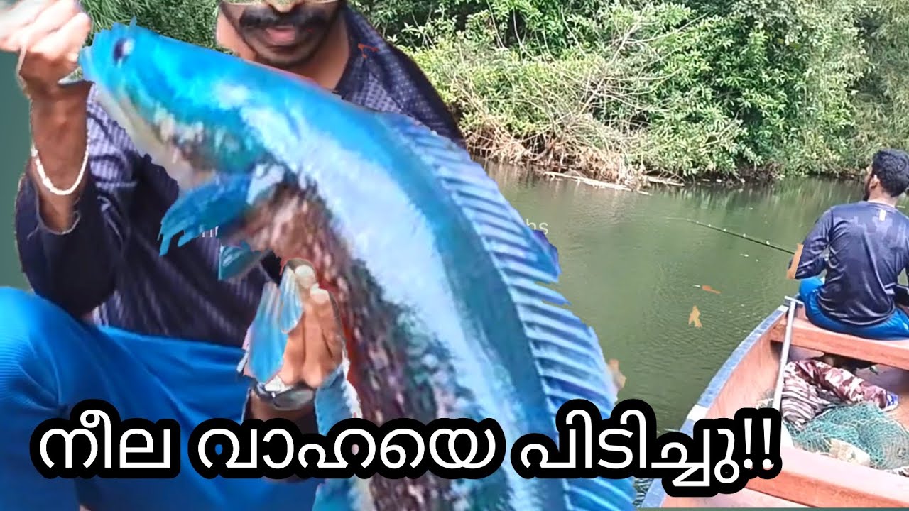 റോഡ് ഒടിയാഞ്ഞത് ആരുടെയോ ഭാഗ്യം 🤣🤣🤣fishing 