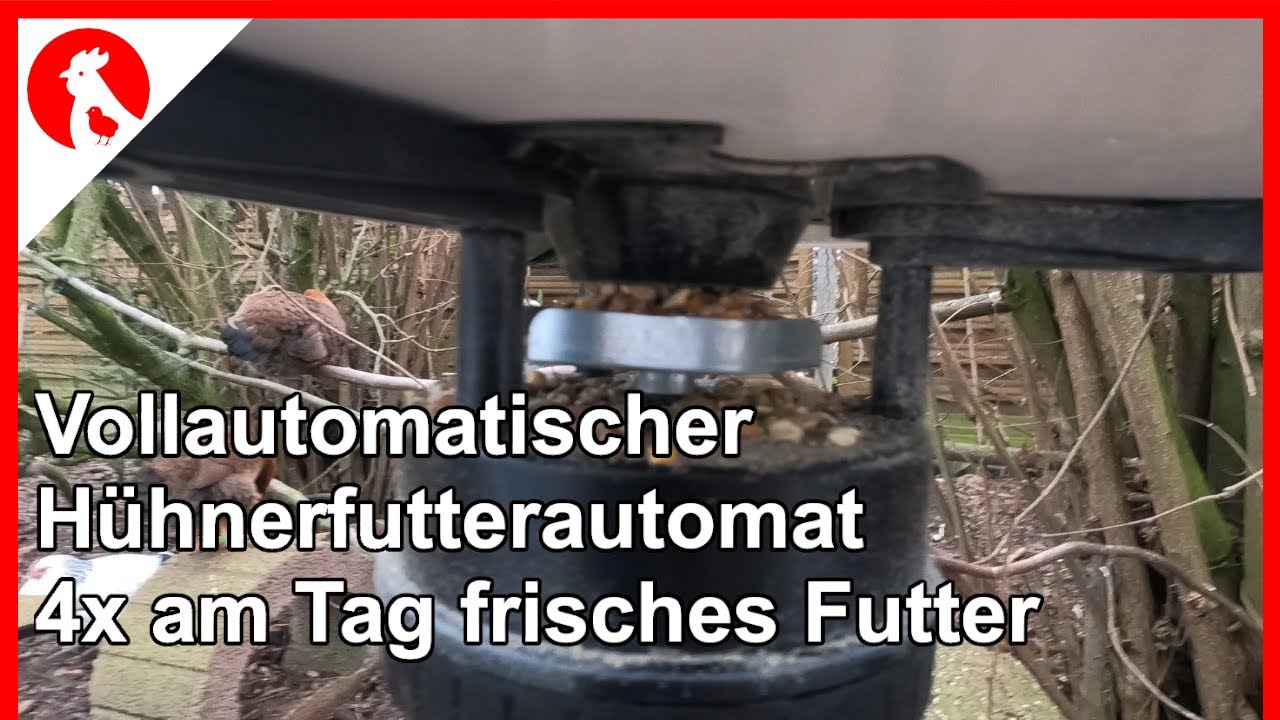 F155 Vollautomatischer zeitgesteuerter Hühnerfutter Automat - bis 4x/Tag frisches Futter nach Zeit