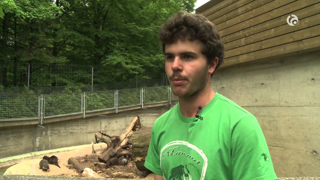 David, gardien d’animaux