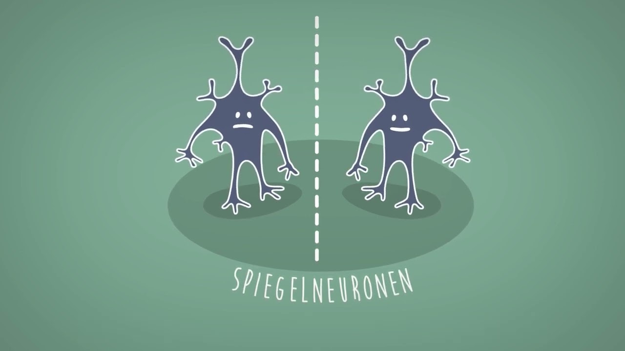 3. Gelukkig in de groep 1: Je brein en de ander