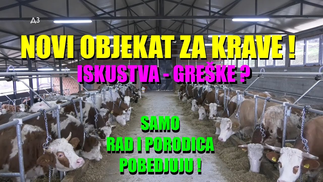 KAKO NAPRAVITI NOVU ŠTALU - subvencije 0 - potrebna je ODLUČNA I VREDNA PORODICA - gde su greške...