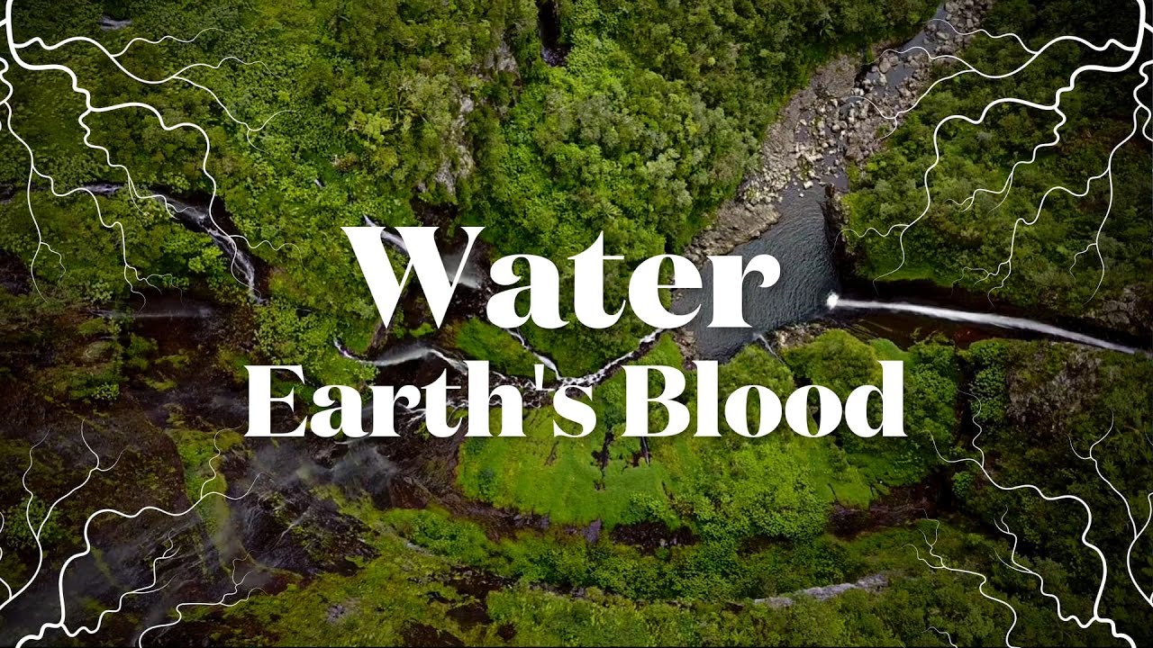Water is Earth's Blood - The Old and New Water Paradigms to Restore Our Planet's Health
