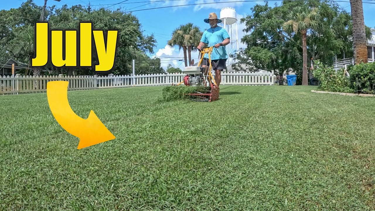 Summer Lawn Problems and Treatments
