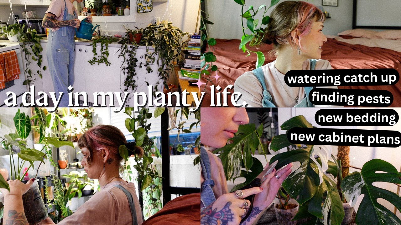 a day in my planty life 🌱 reviving my neglected plants, mealybugs, care routine, + my work day