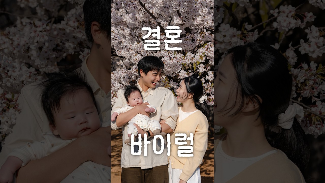 벚꽃 보러 나왔다가 우연히 사진 작가 만날 확률
