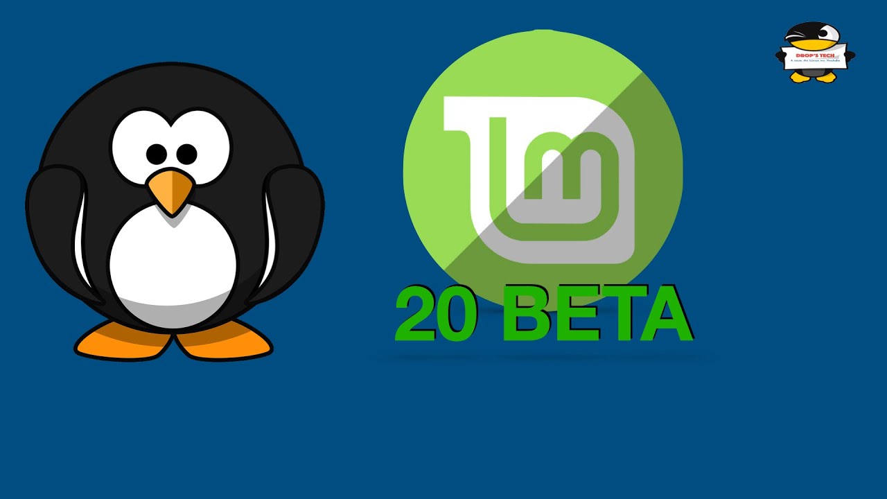 Review Linux Mint 20 beta