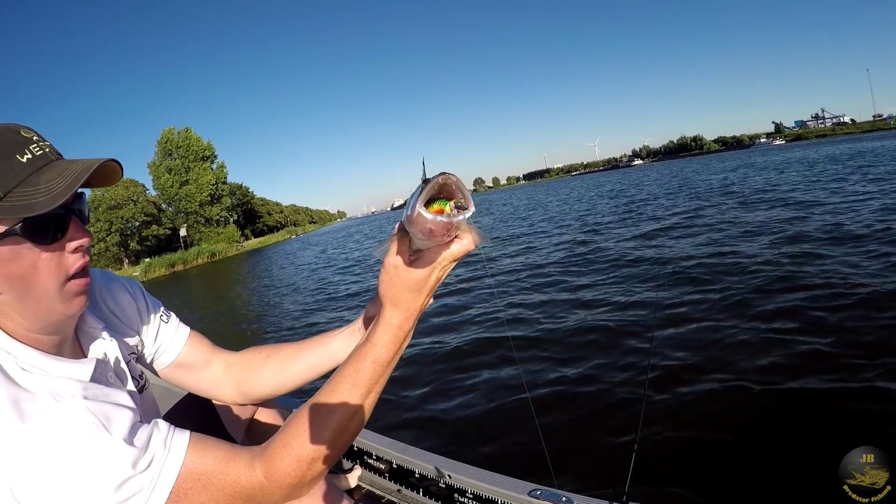 Vissen op snoekbaars + uitleg dropshot montage