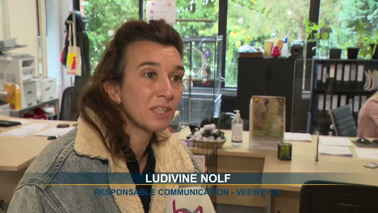 Le refuge Veeweyde saturé suite à la hausse des abandons d'animaux