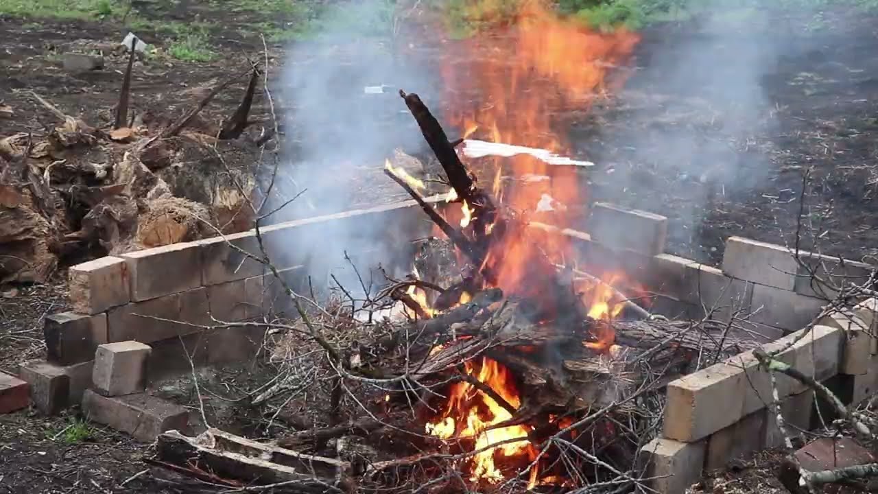 雨が降っているので切り倒した大木の枝を焼却して畑作りを進めていく