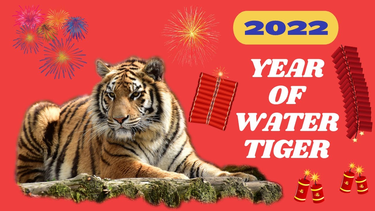Zodiac &ldquo;OX&rdquo; Forecast for 2022 the Year of Water Tiger