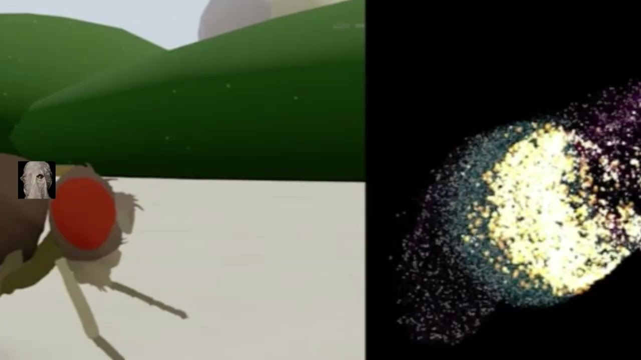 #Eon #Systems Demonstrates First Complete #Brain #Emulation in a #Simulated #Body