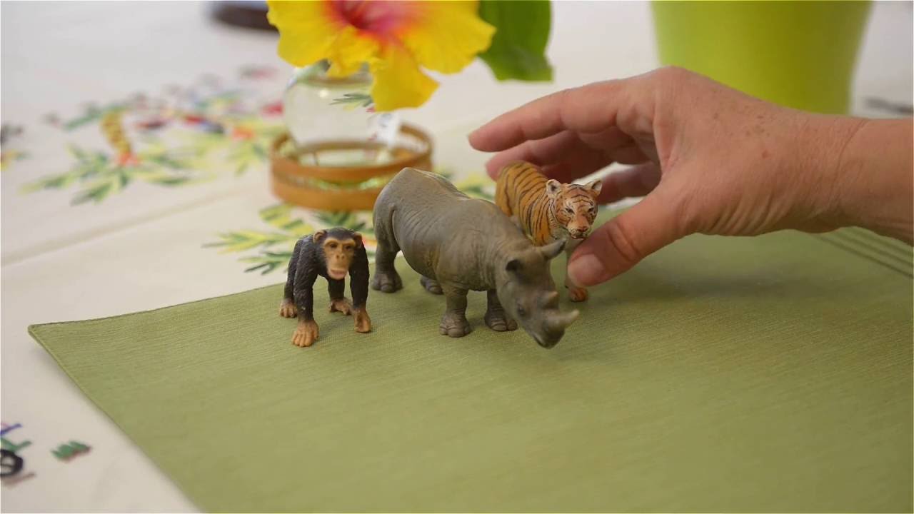 LANGUAGE ACTIVITY FOR YOUNG CHILDREN: 3-Period Lesson with Animals by Jeanne-Marie Paynel