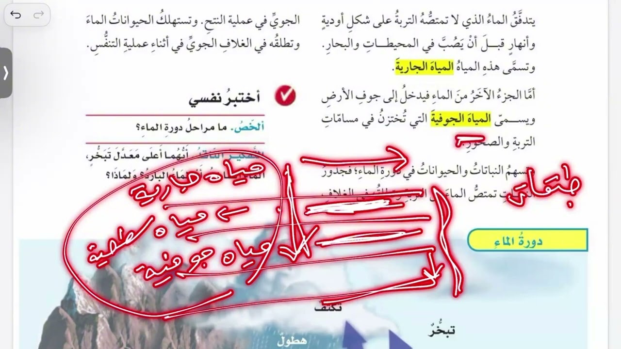 الدورات في الأنظمة البيئية علوم خامس الترم الاول الجزء الاول 