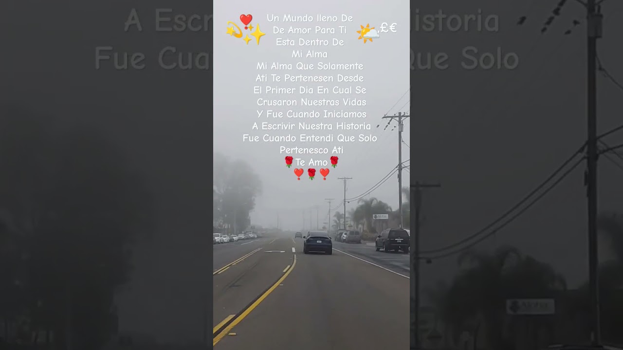 #losherederos#coqueta #ambientmusic 👑🌹🌹👑✨🌤️#bluebunny#trending #tuamorinfinito#tubondad #metienen