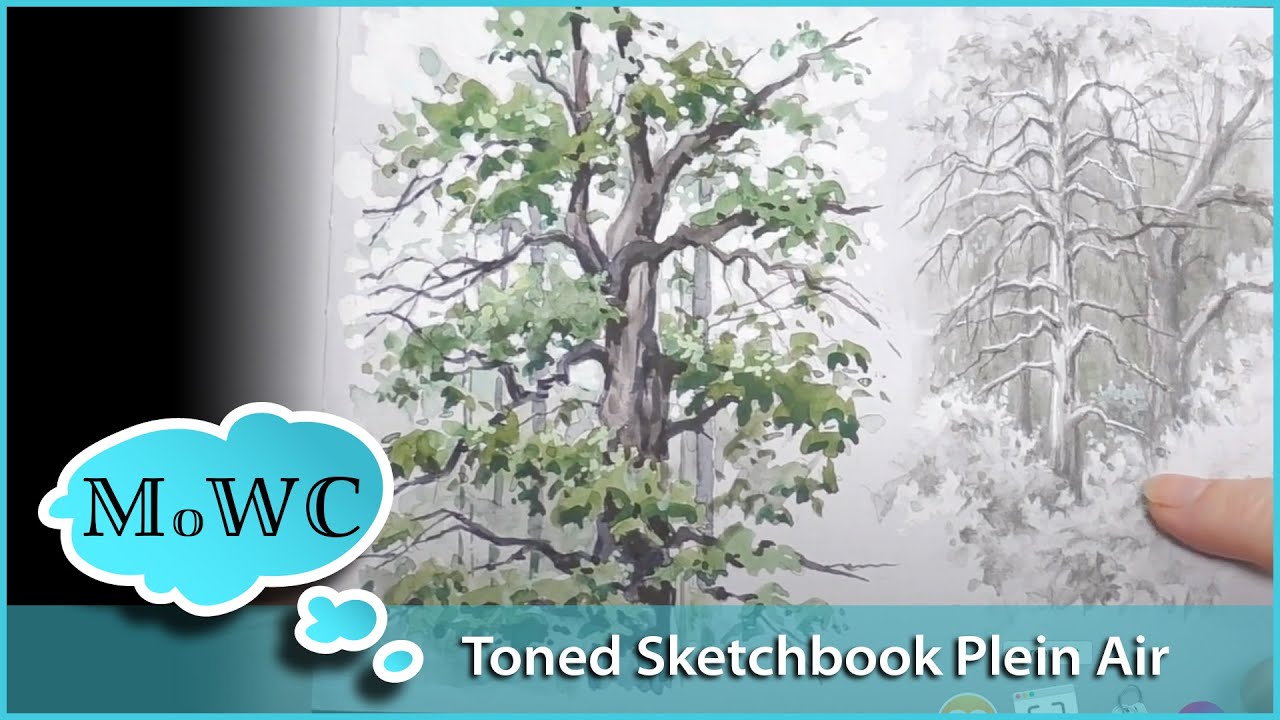 Getting to Know a Tree. Plein Air in Hahnemühle Toned Gray Watercolor Sketchbook.