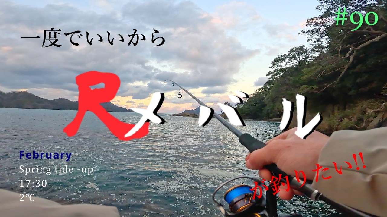 【2月の藻場の、デカメバルチャンス！】一度でいいから尺メバルが釣りたい!!#90【メバリング】