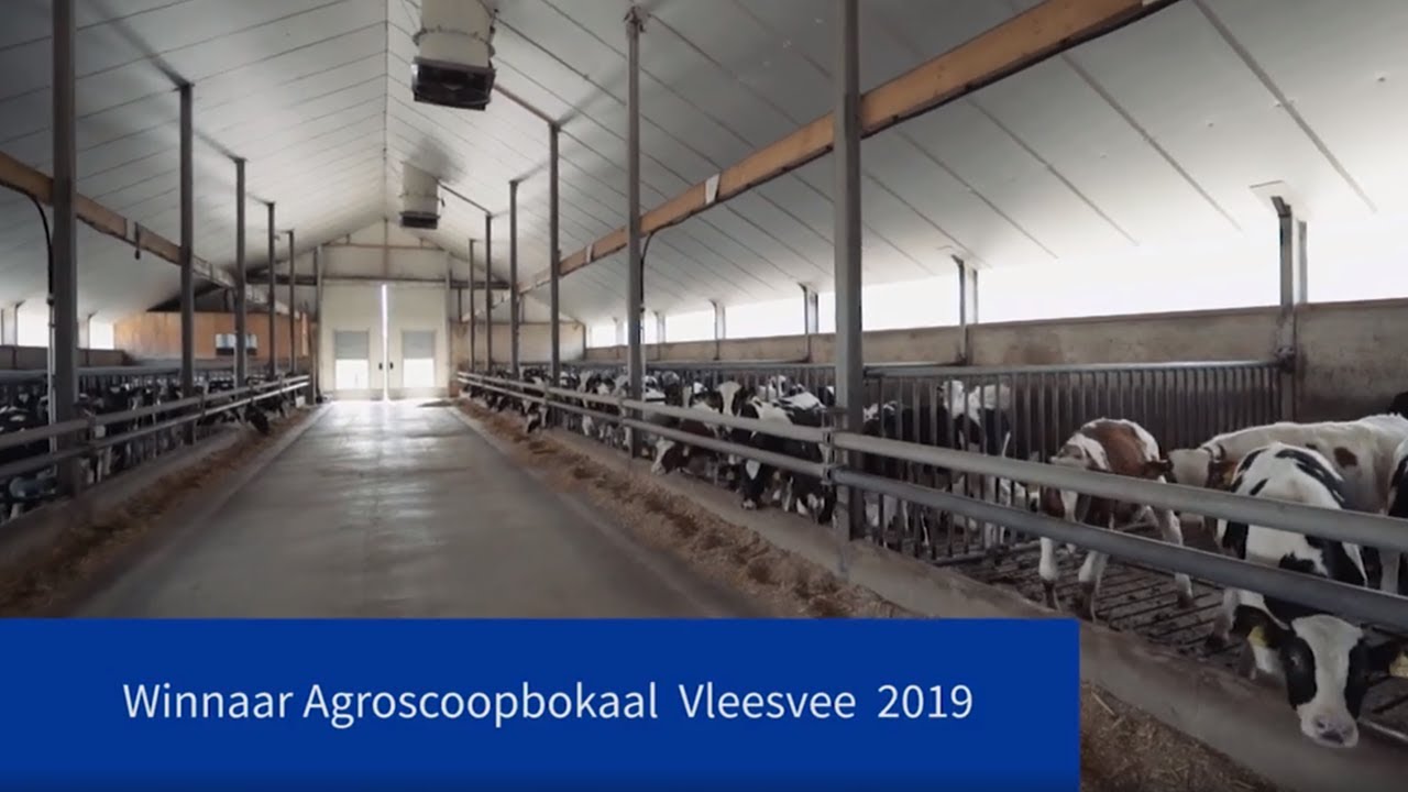 Agroscoopbokaalwinaar Vleesvee 2019: Jan en Jannet Hesselink