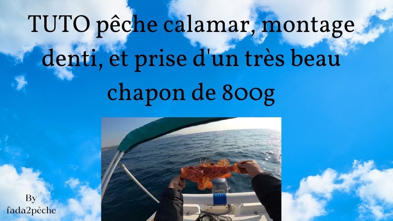 Pêche calamar, montage denti et chapon au tenya !