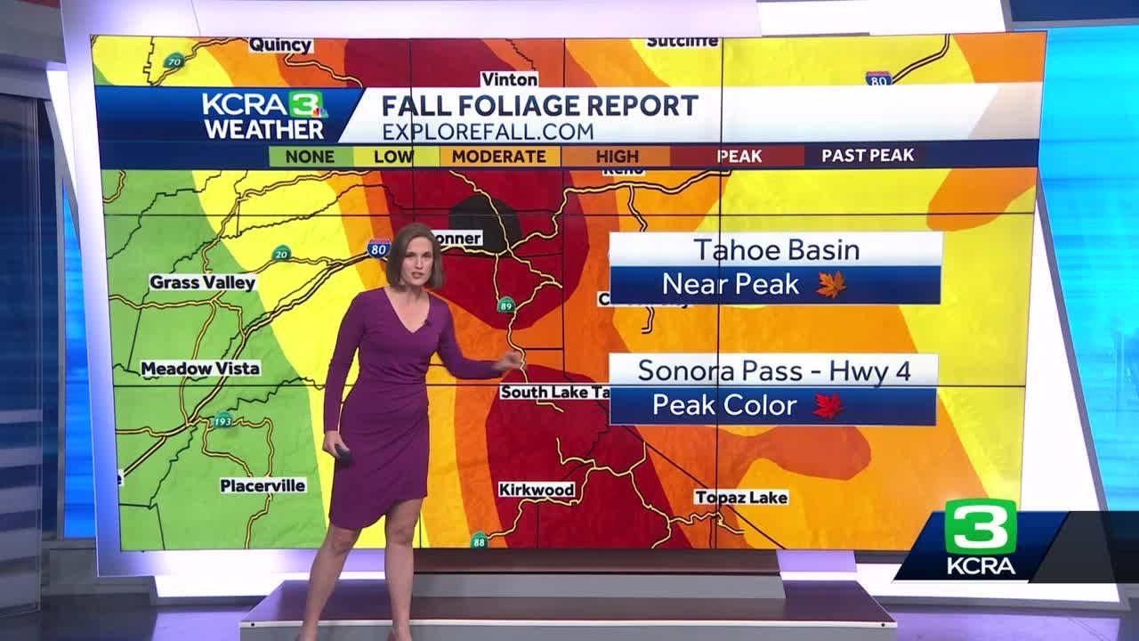 Northern California fall foliage: Peak colors, as of Oct. 13