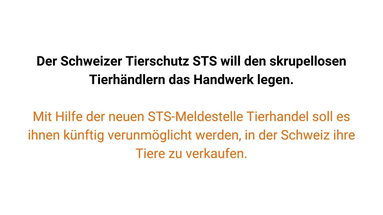 Dem skrupellosen Welpen- und Tierhandel einen Riegel schieben