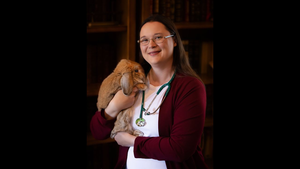 Rabbit Hemorrhagic Disease - What You Need to Know to Keep Your Rabbits Safe