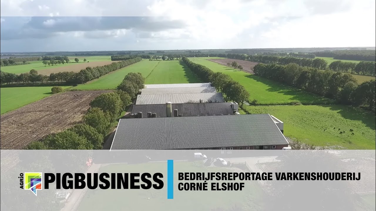 Impressie varkenshouderij Sonnega B.V. Corn&eacute; Elshof