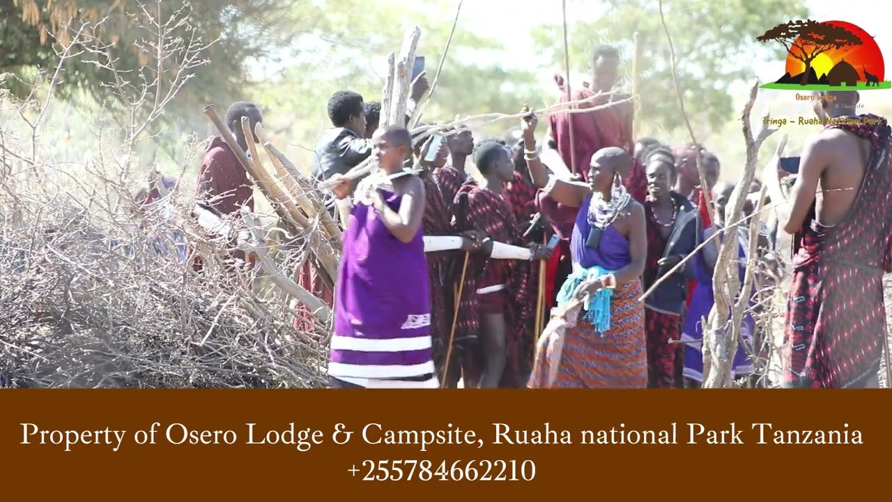 Ep 3.2 2024 OLC Maasai Circumcision ceremony