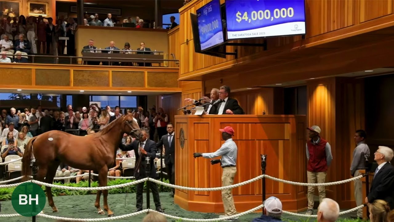 $4 Million Curlin/Beholder Colt STUNS at F-T Saratoga