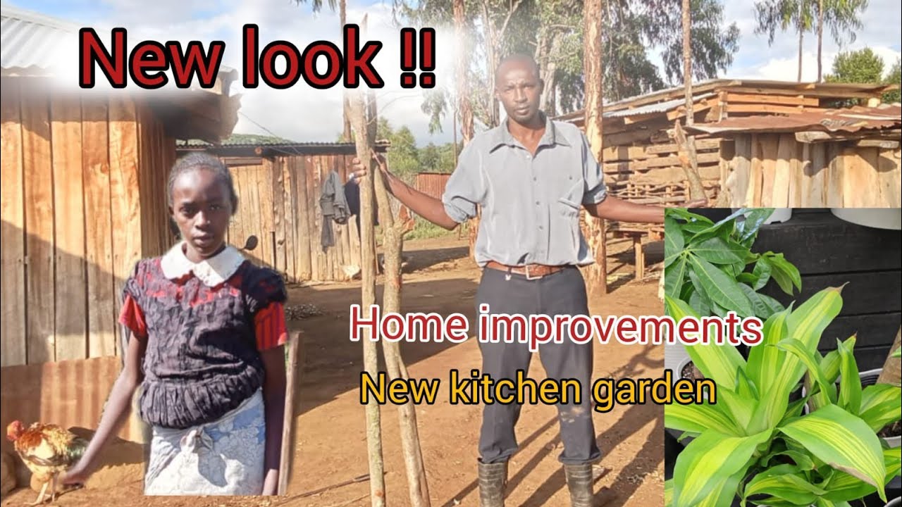 Unbelievable Kitchen Garden Makeover: Watch Us Rebuild‼️‼️