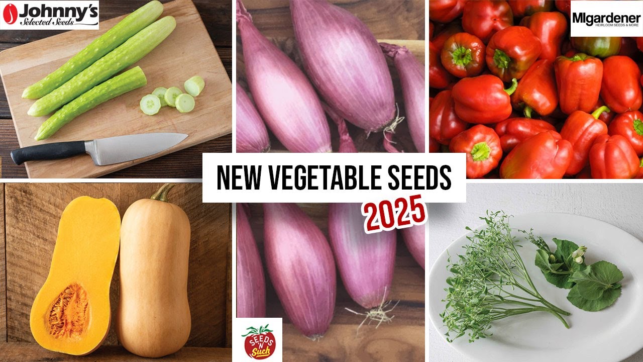 Delicious NEW Vegetable Seeds To Plant In 2025 | MIgardener, Johnny's Seeds, Baker Creek