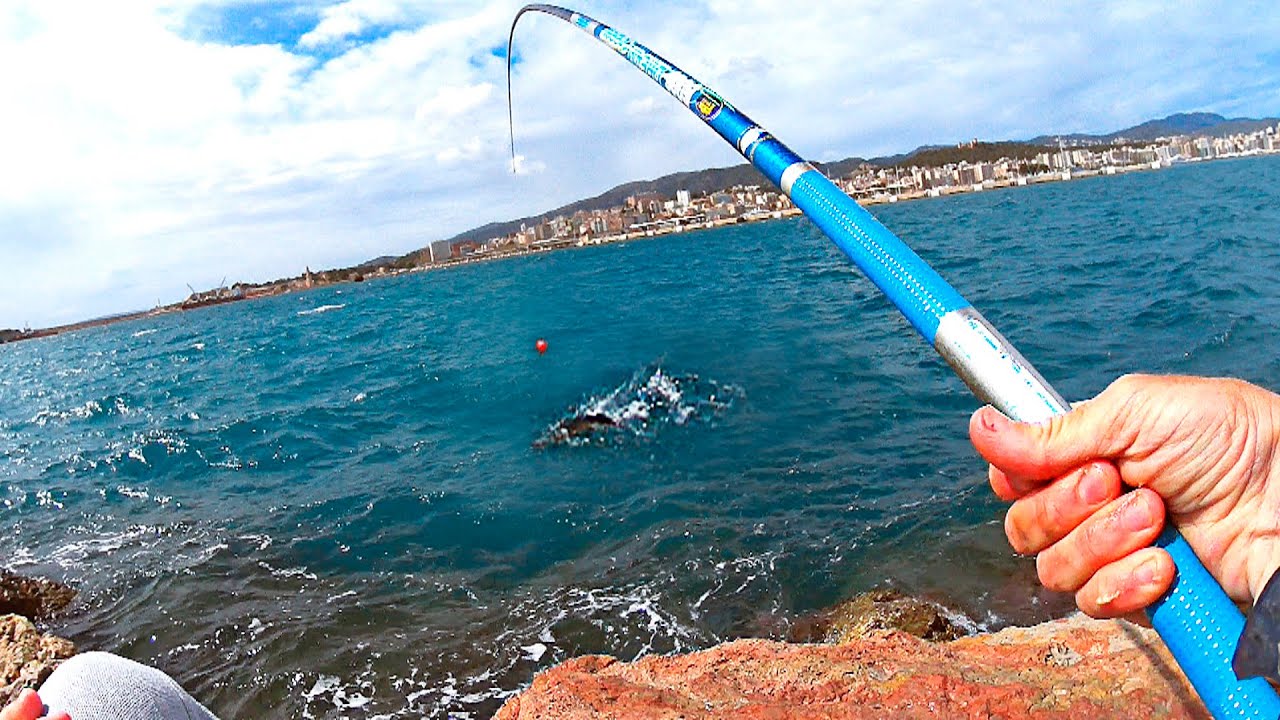 ¡¡BICHOS en el ESPIGÓN a CAÑA de MANO!! [Pesca a Boya corrida]