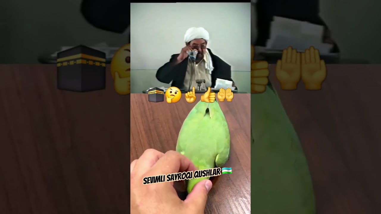 toti qush boqsa boladimi digan savolga javob